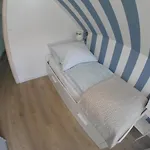 Bajkowy *
