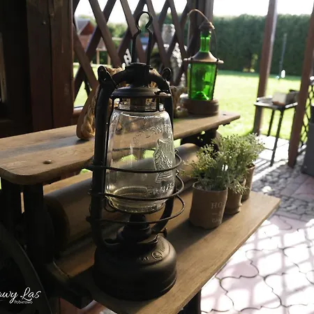 Bajkowy Las Homestay *