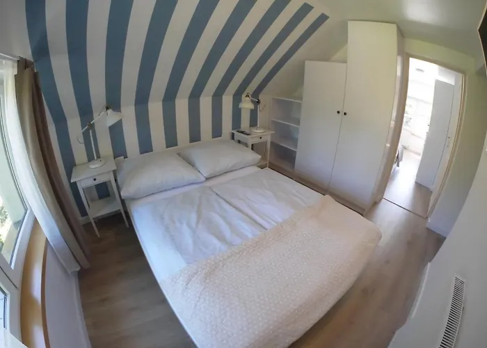 Bajkowy Las Homestay *